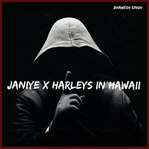 Janiye x Harleys in Hawaii_poster_image