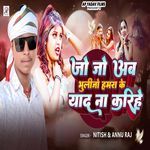 Jo Jo Ab Bhulijo Hamara Ke Yad Na Karihe