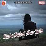 Maai Hanswa Ke Kaike Sawari