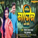 Kamriya Nagin Jas Dole