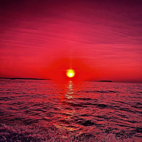 Swells cover art