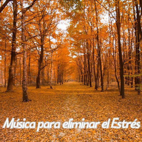 Refugio Musical cover art
