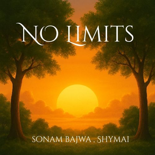 NO Limits