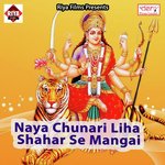 Kaise Hoi Aso Navratra Ho