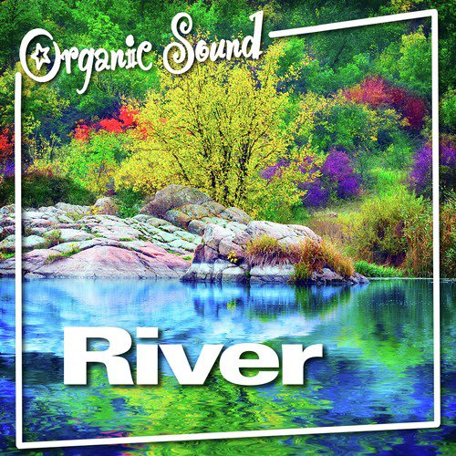 River (Nature Sounds)_poster_image