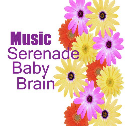 Serenade: Baby Brain Music_poster_image