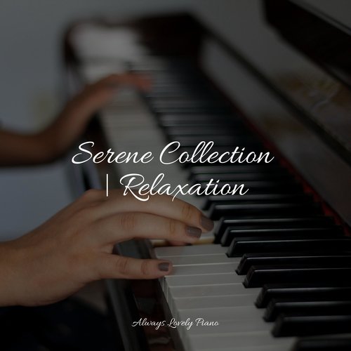 Serene Collection | Relaxation_poster_image