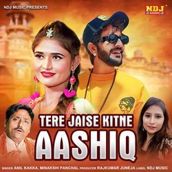 Tere Jaise Kitne Aashiq-ChxSATtRTnk