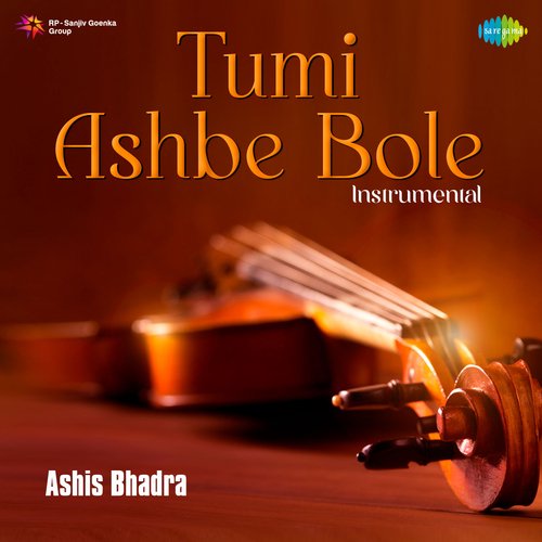 Tumi Ashbe Bole - Instrumental