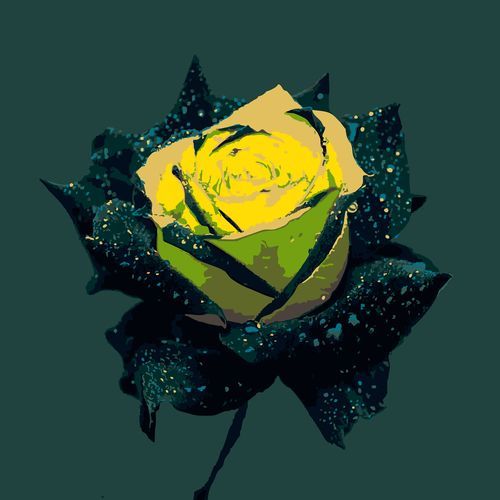 Vows & Verses 抒情浪漫