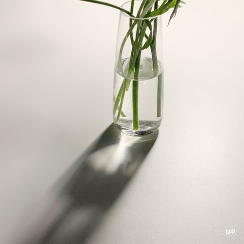동화(冬花)(feat.이예지)