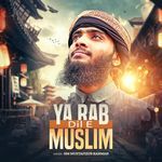Ya Rab Dil E Muslim Ko