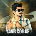 Yaar Cobre