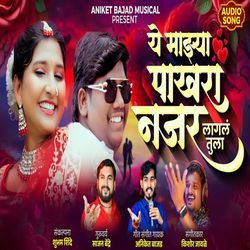 Ye Mazya Pakhara Najar Lagal Tula