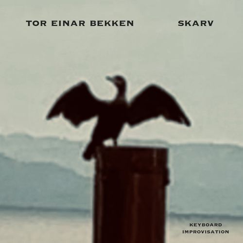 skarv cover art