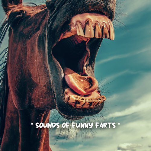 Big Fart Sounds Try Not To Laugh - Song Download from * SOUNDS TO MAKE YOU  POOP * @ JioSaavn
