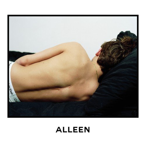 Alleen (Instrumental) cover art