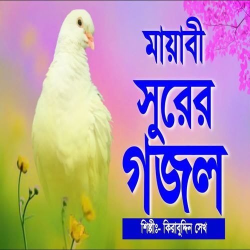 Ami Apon Bole Ar Kare Dakibo
