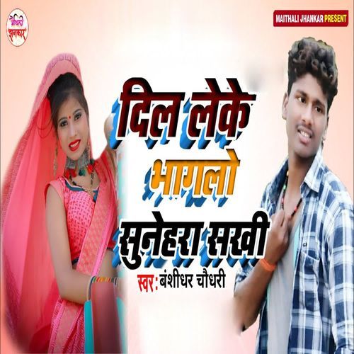 Dil Leke Bhagalo Sunehra Sakhi cover art