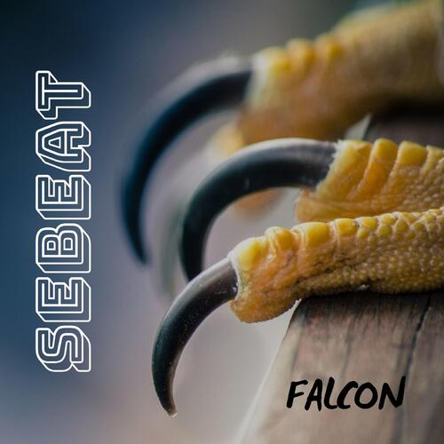 Falcon cover art