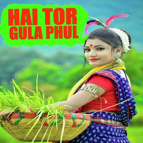 Hai Tor Gula Phul