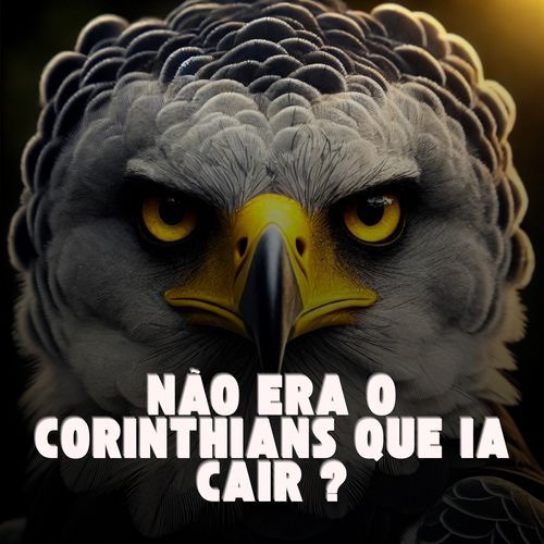 NÃO ERA O CORINTHIANS QUE IA CAIR ?