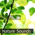 Nature Sounds_poster_image