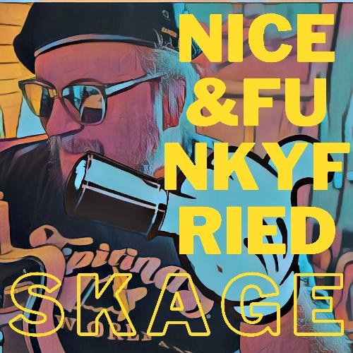 Nice and Funkyfried cover art