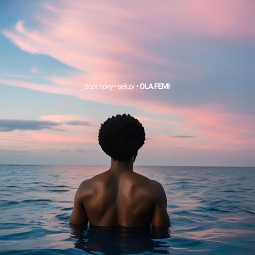 Ola Femi cover art