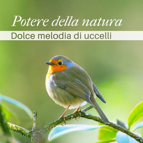 Rilassamento mentale cover art