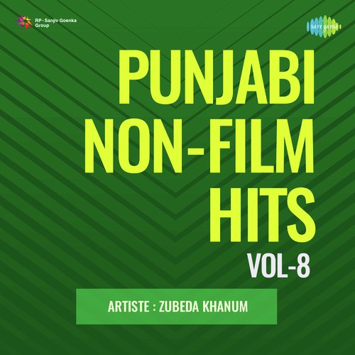 Punjabi Non - Film Hits Vol - 8