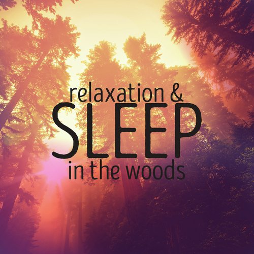 Relaxation & Sleep in the Woods