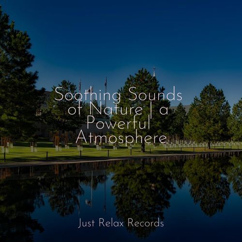 Soothing Sounds of Nature | a Powerful Atmosphere_poster_image