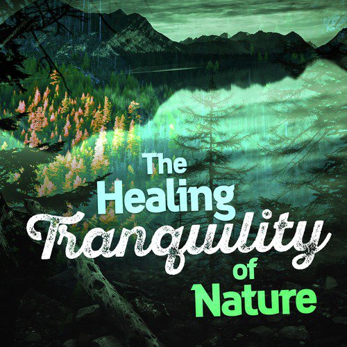 The Healing Tranquility of Nature_poster_image