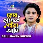 Tor Premete Poira Ami