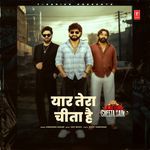 Yaar Tera Cheeta Hai