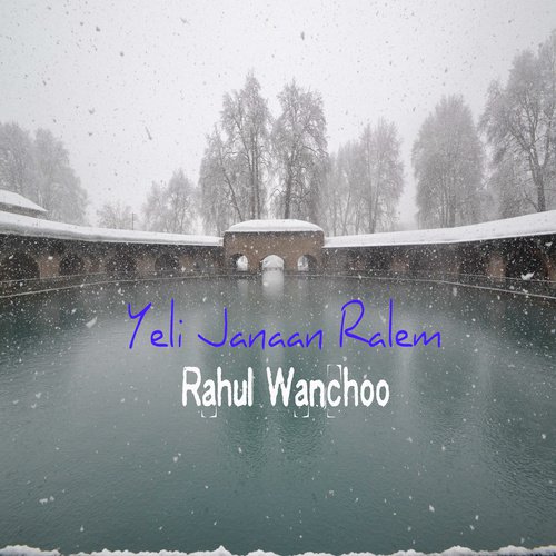 Rahul Wanchoo