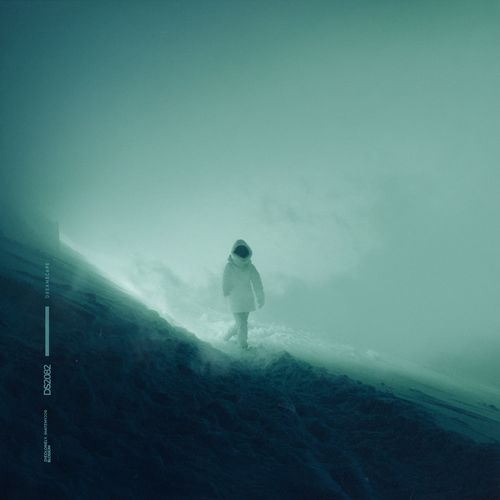blossom cover art