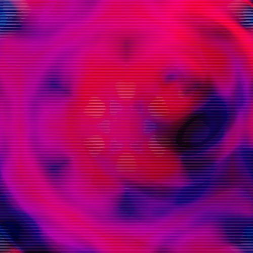 digital