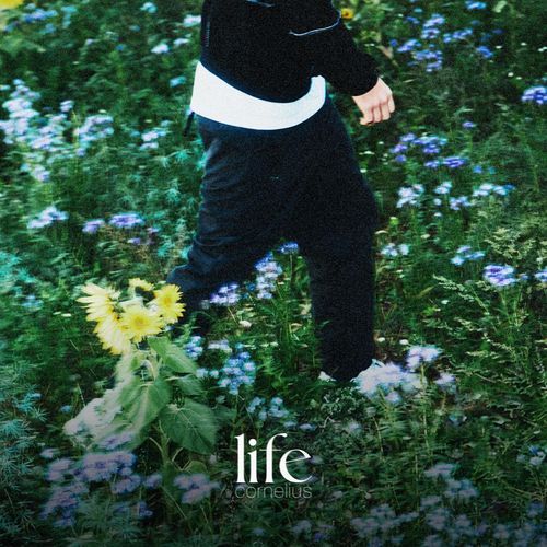 life_poster_image