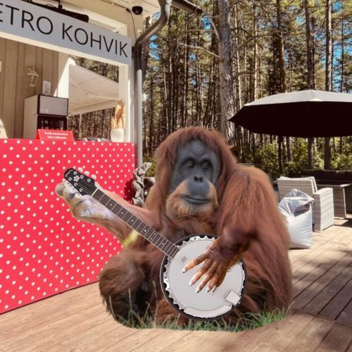naranja orangutan