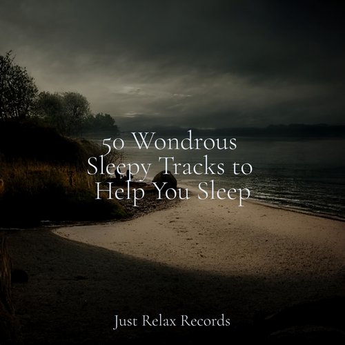 50 Wondrous Sleepy Tracks to Help You Sleep