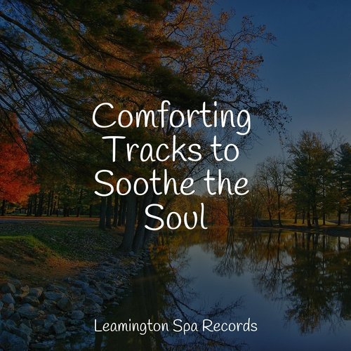 Comforting Tracks to Soothe the Soul