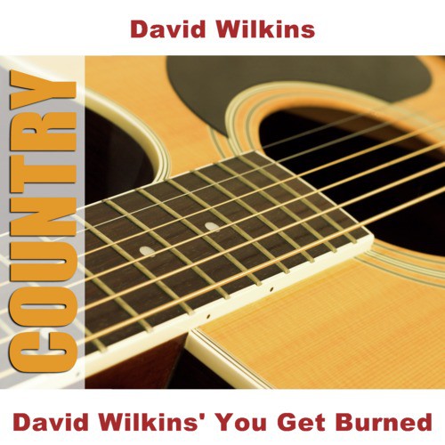 David Wilkins&#039; You Get Burned_poster_image