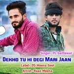 Dekho tu hi degi Mari Jaan