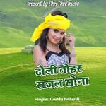 Dholi Tohar Sajal Sona
