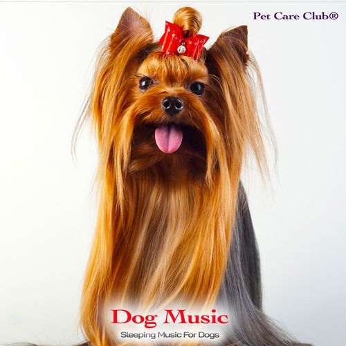Soothing Music for Dogs