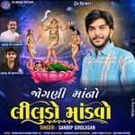 Jogani Maa No Liludo Mandvo (Dj Remix)