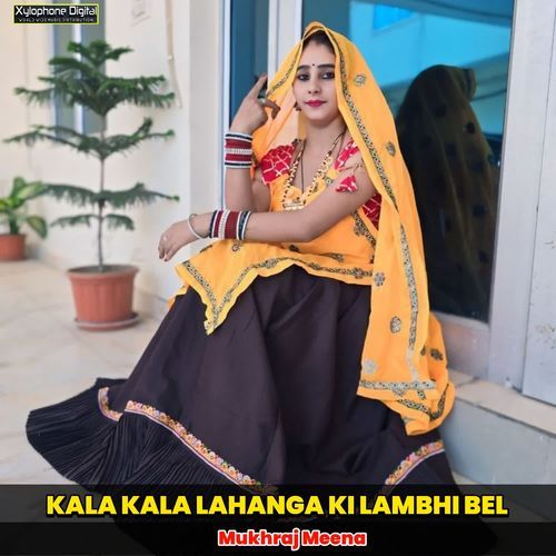 KALA KALA LAHANGA KI LAMBHI BEL