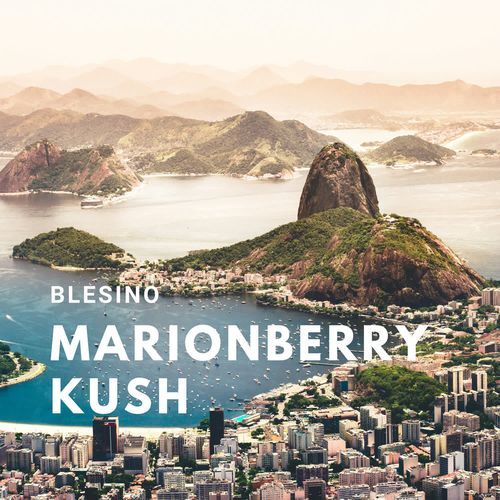 Marionberry Kush